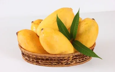 mango-sindhri-pakistani-indian-fruits-260nw-1953158143